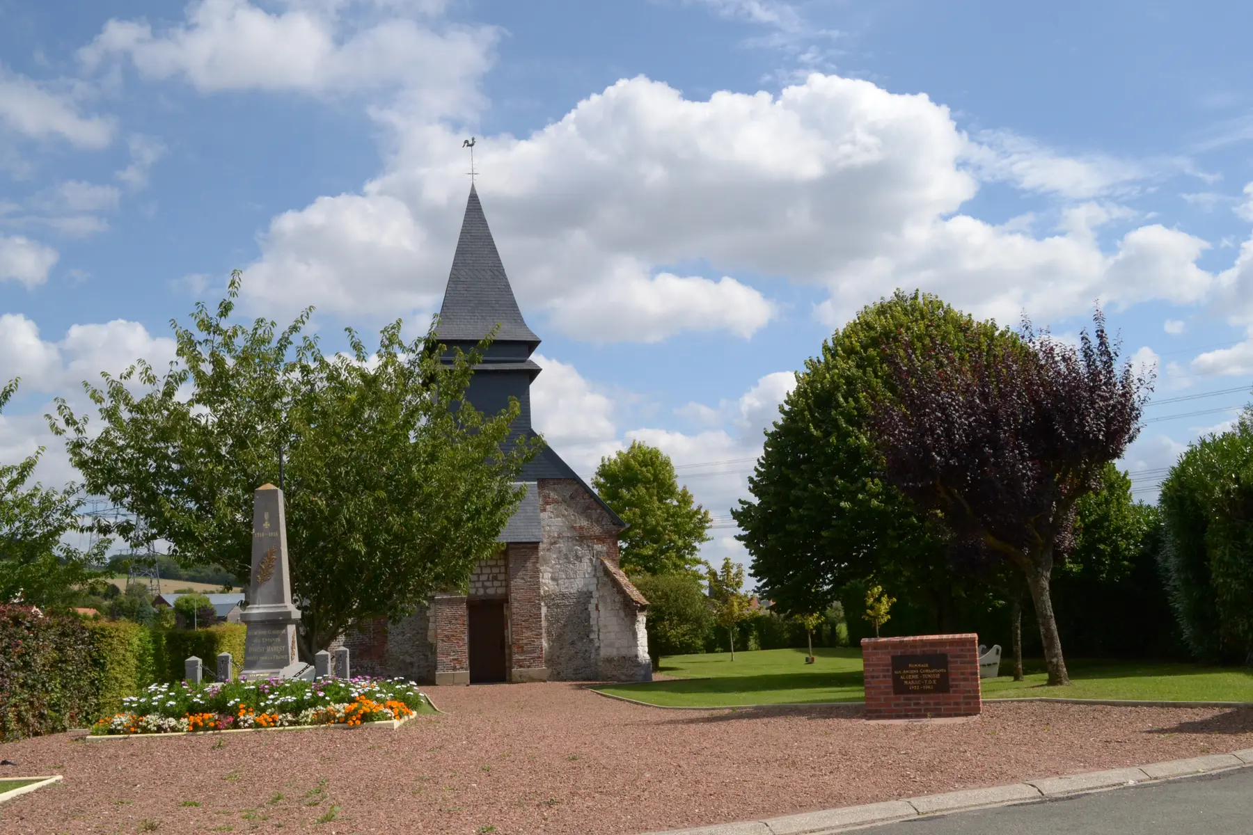 DSC_0807 (2)