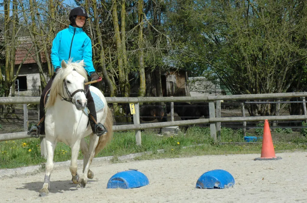 Cours adulte équitation Ecuries des Pious