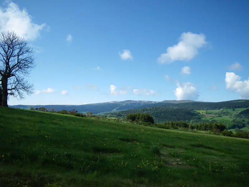 Aire de pique nique St Thurin