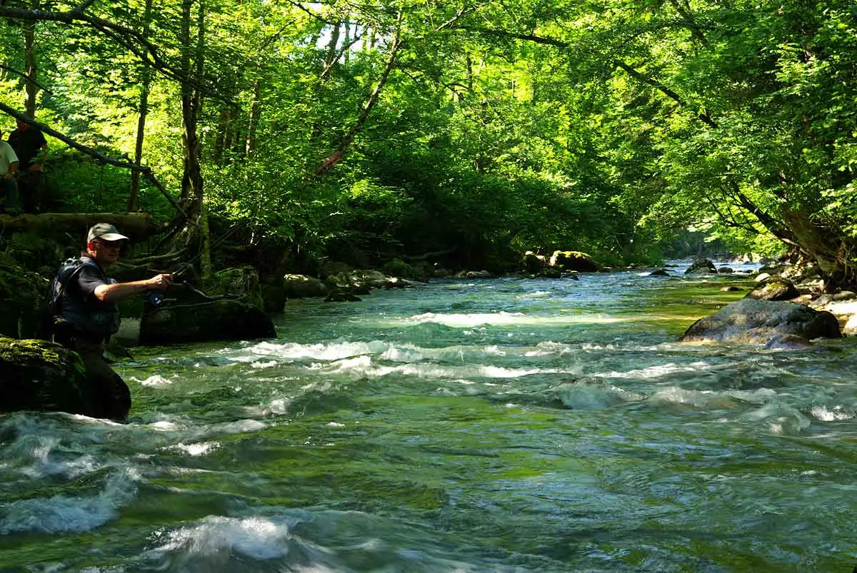 Pêche à la mouche, Saint Jean d'Aulps