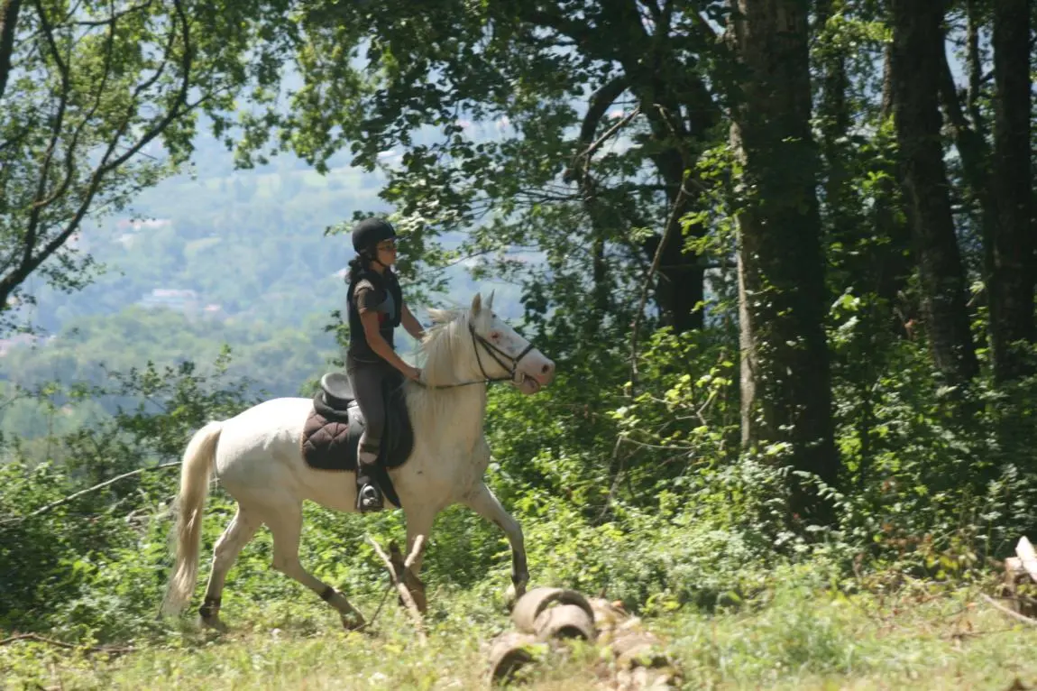 Balade à cheval dans l'Albanais