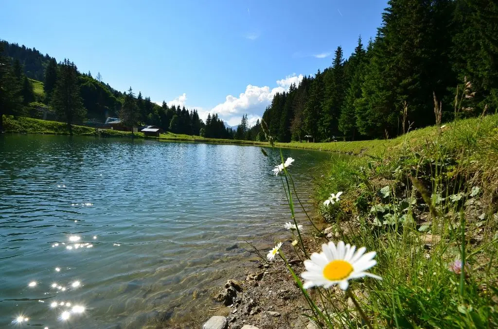 Lac du Plan Dessert à Notre Dame de Bellecombe