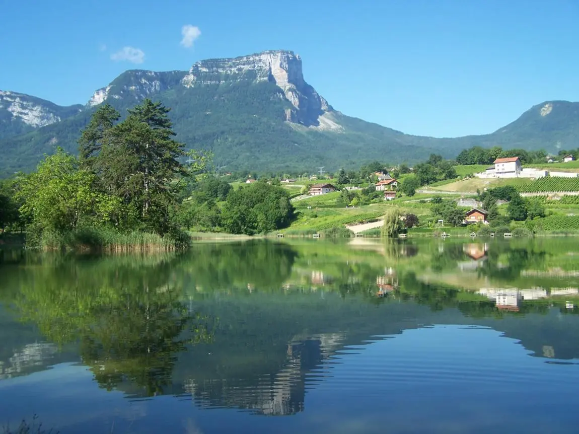 Vignoble et lac St André
