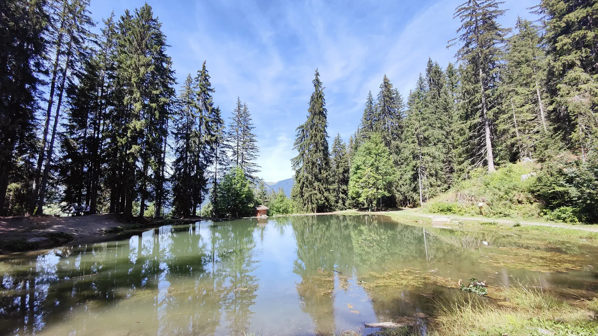 Lac de pêche et de promenade
