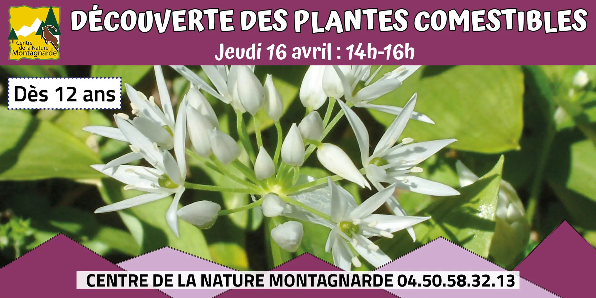 Plantes comestibles