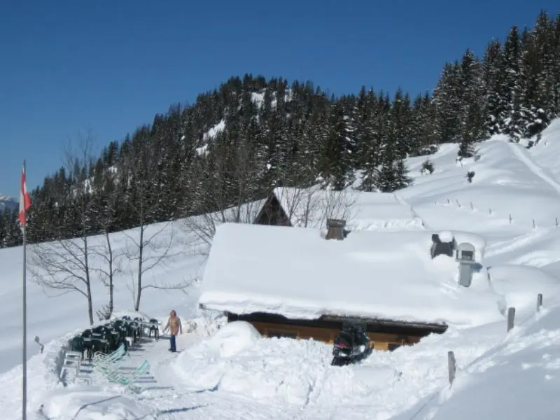 Le Chalet de Théo