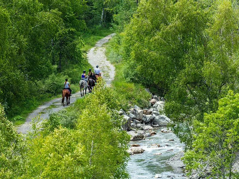 Balade à cheval le long du Verdon
