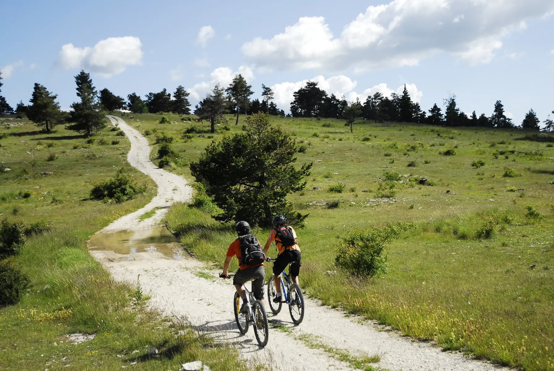 Sur la Montagne de Maurel