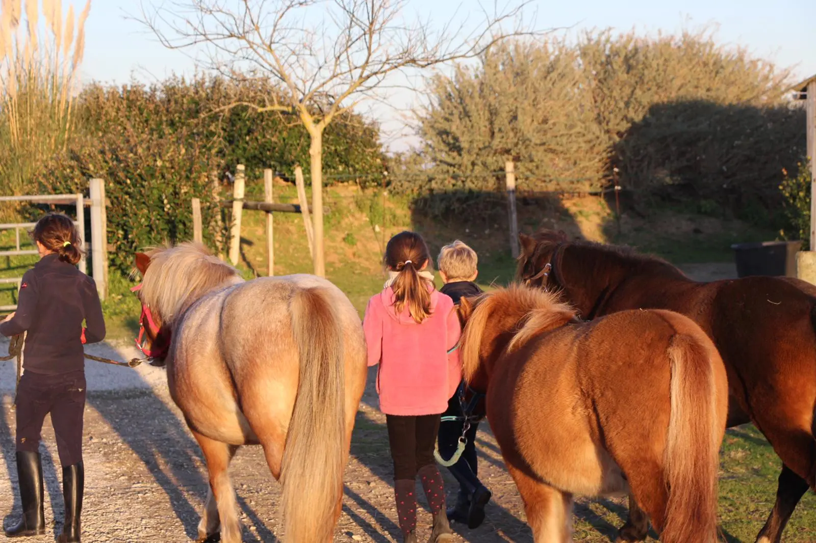 Pony and pupils on the courses and training programme