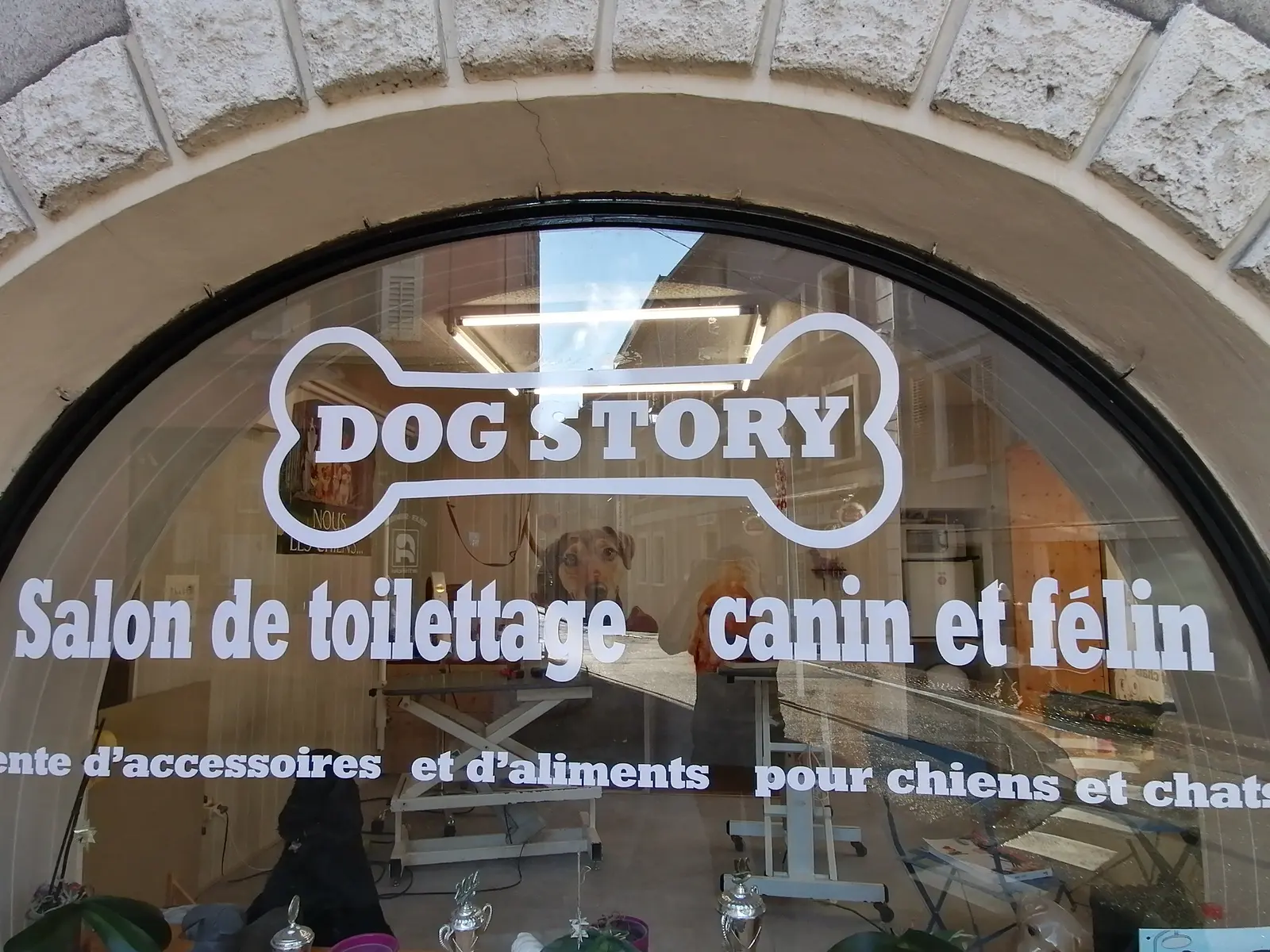 Dog Story