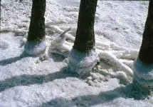 Salines de Rassuen et de Fos sur Mer