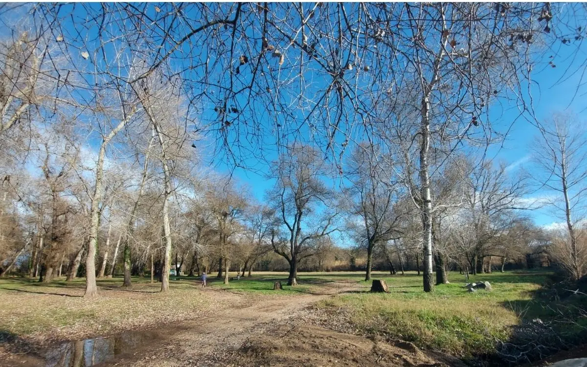 terrain