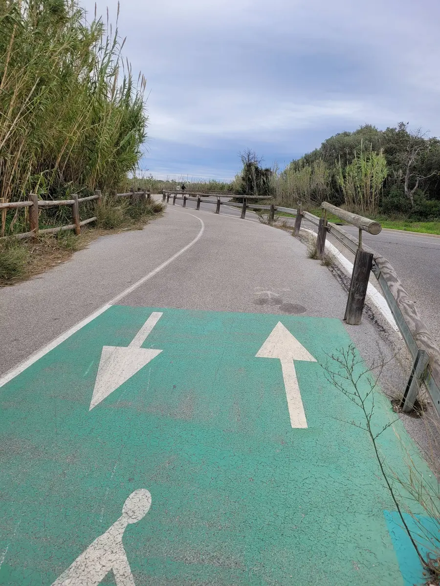 Piste cyclable avec vue sur la mer entourée de champs de bambous