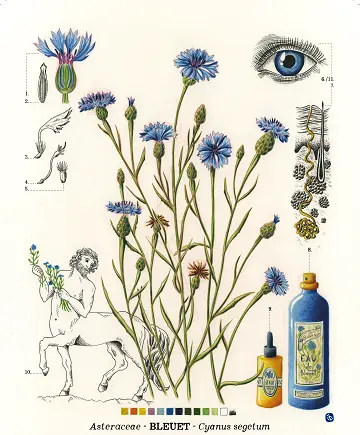 Histoires de plantes