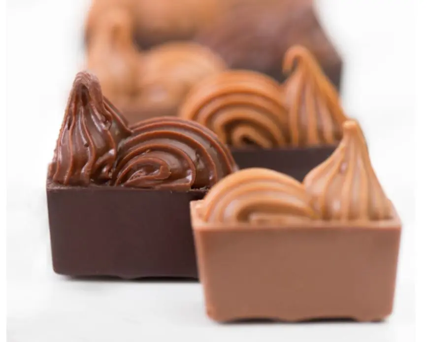 Chocolats Puyricard