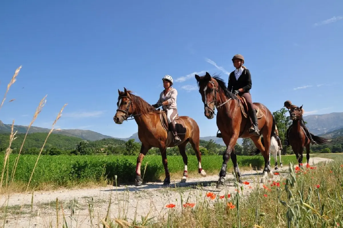 Equitation : route Napoléon à cheval