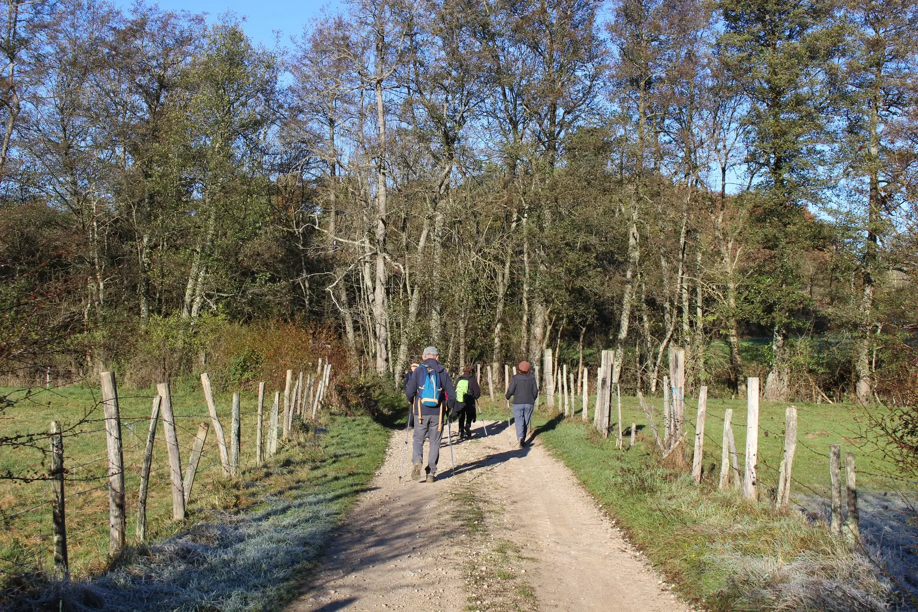 Randonnée à Périgneux