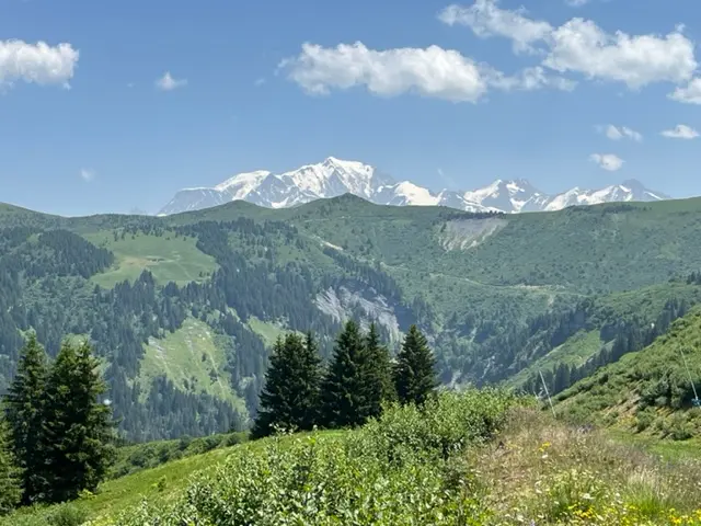 Le Mont blanc vu du Mont Rond