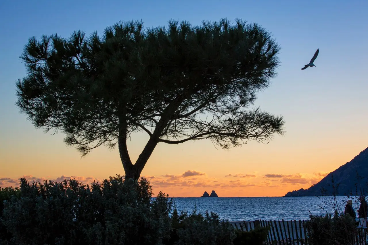 Coucher de soleil parc Fernand Braudel