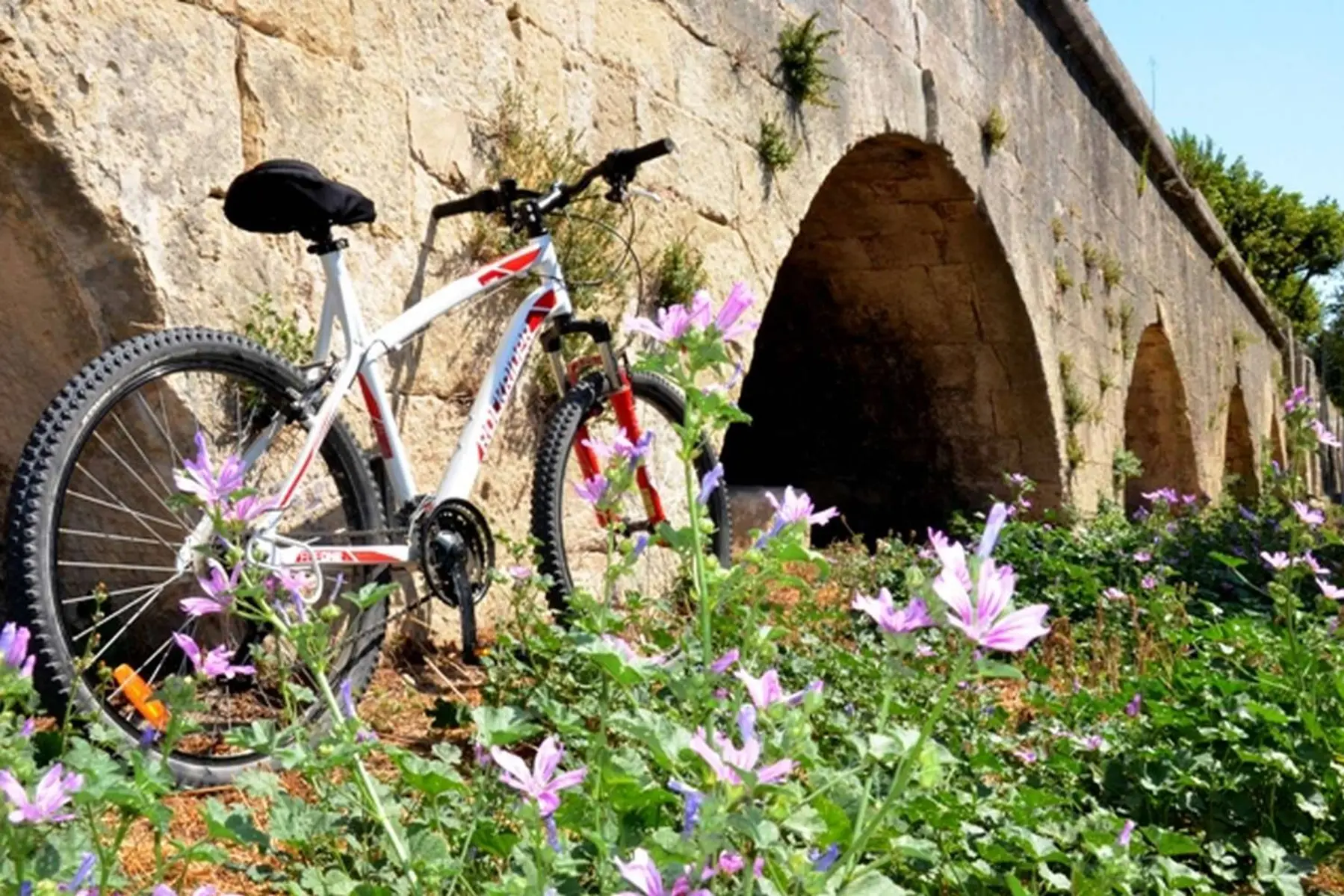 Aqueduc de Pont-de-Crau