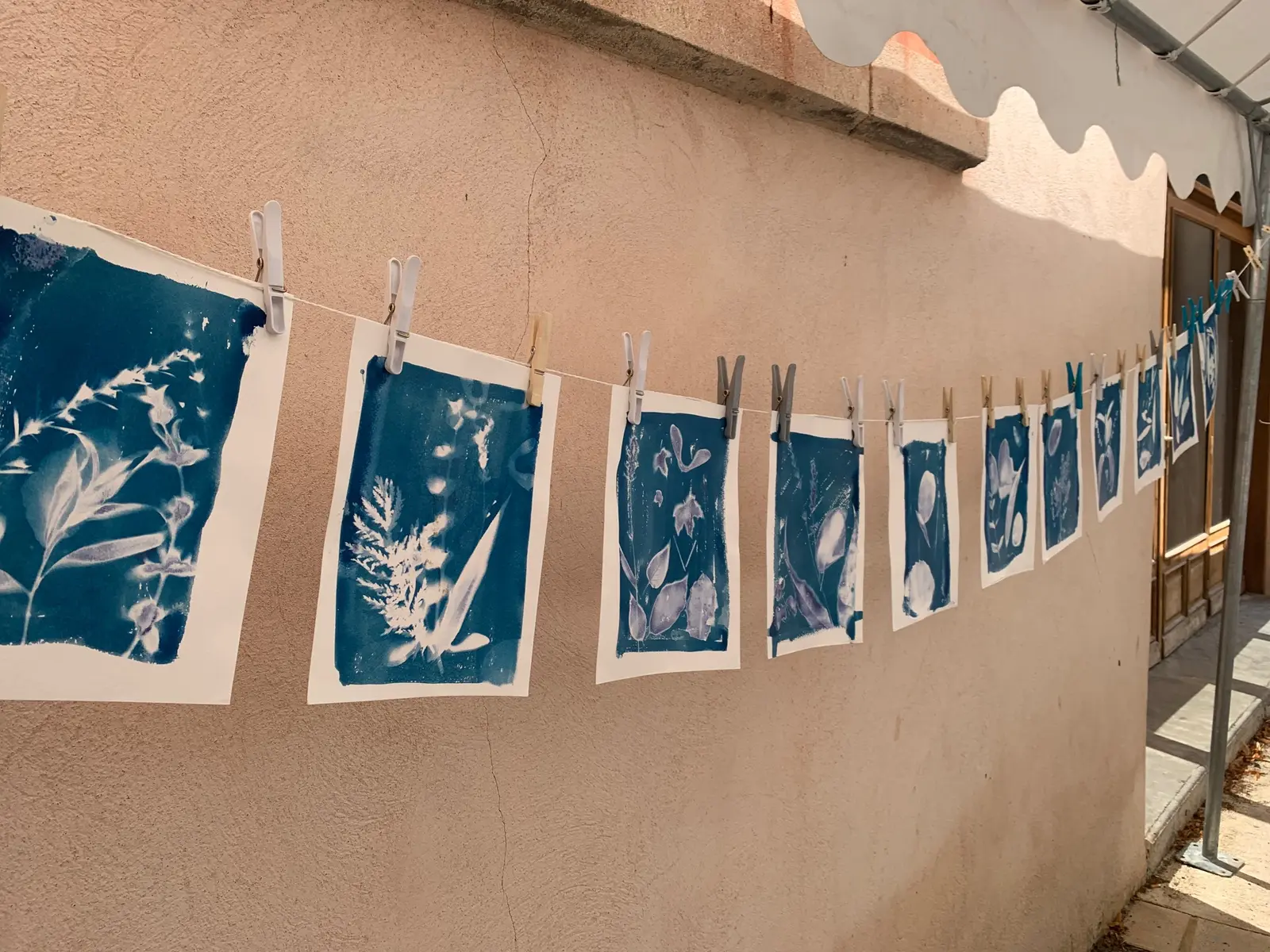 Cyanotype