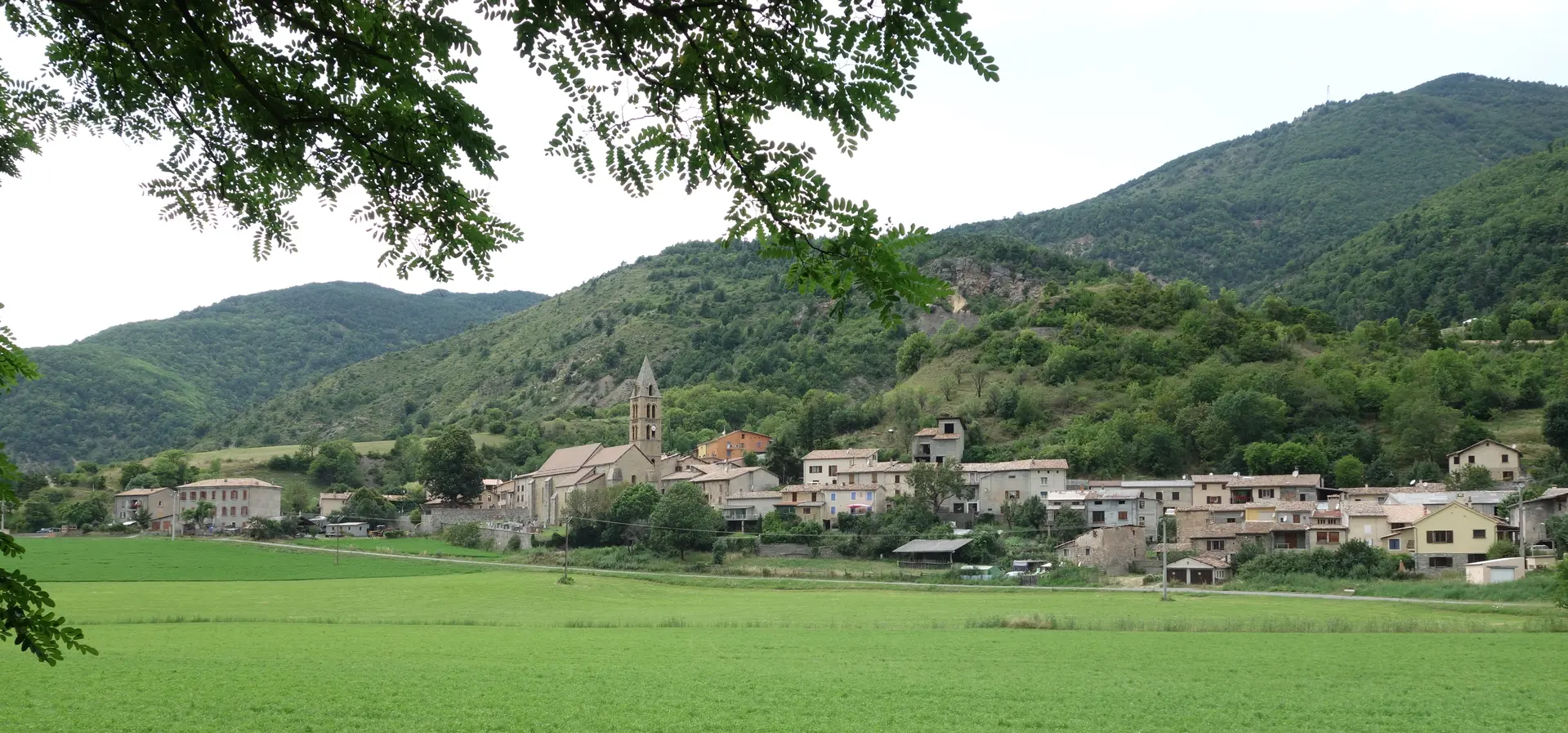 Bayons