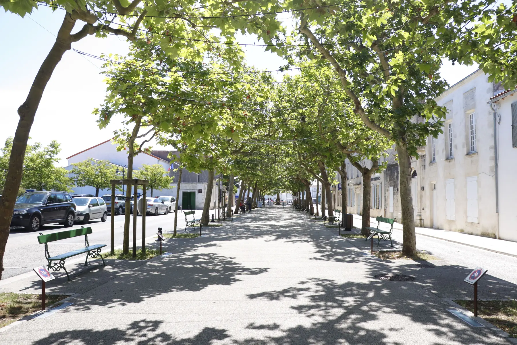 Cours Félix Faure