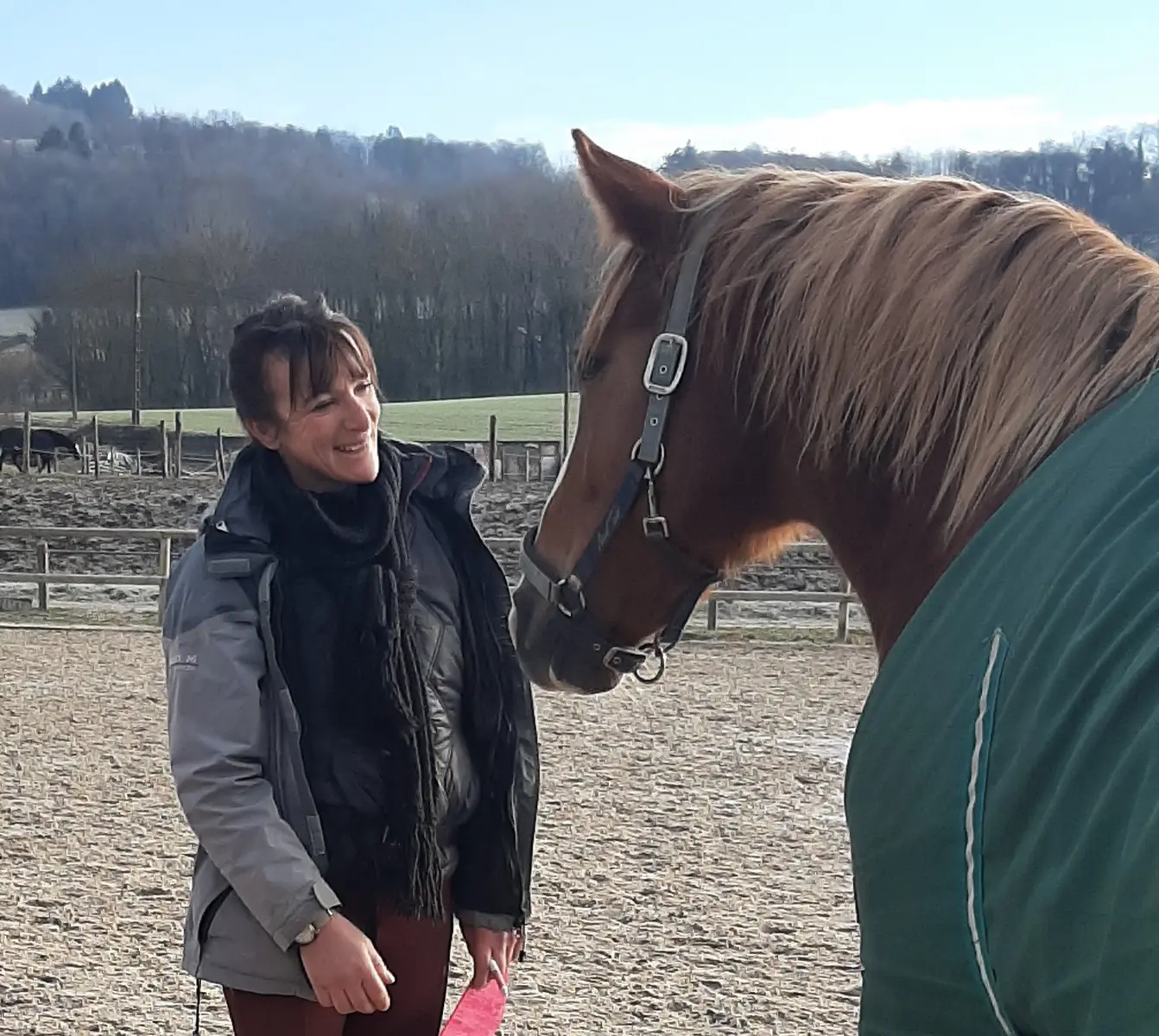 Émotion Cheval : une personne sourit à un cheval, recouvert d'une couverture, dans un champ prêt à accueillir leurs échanges
