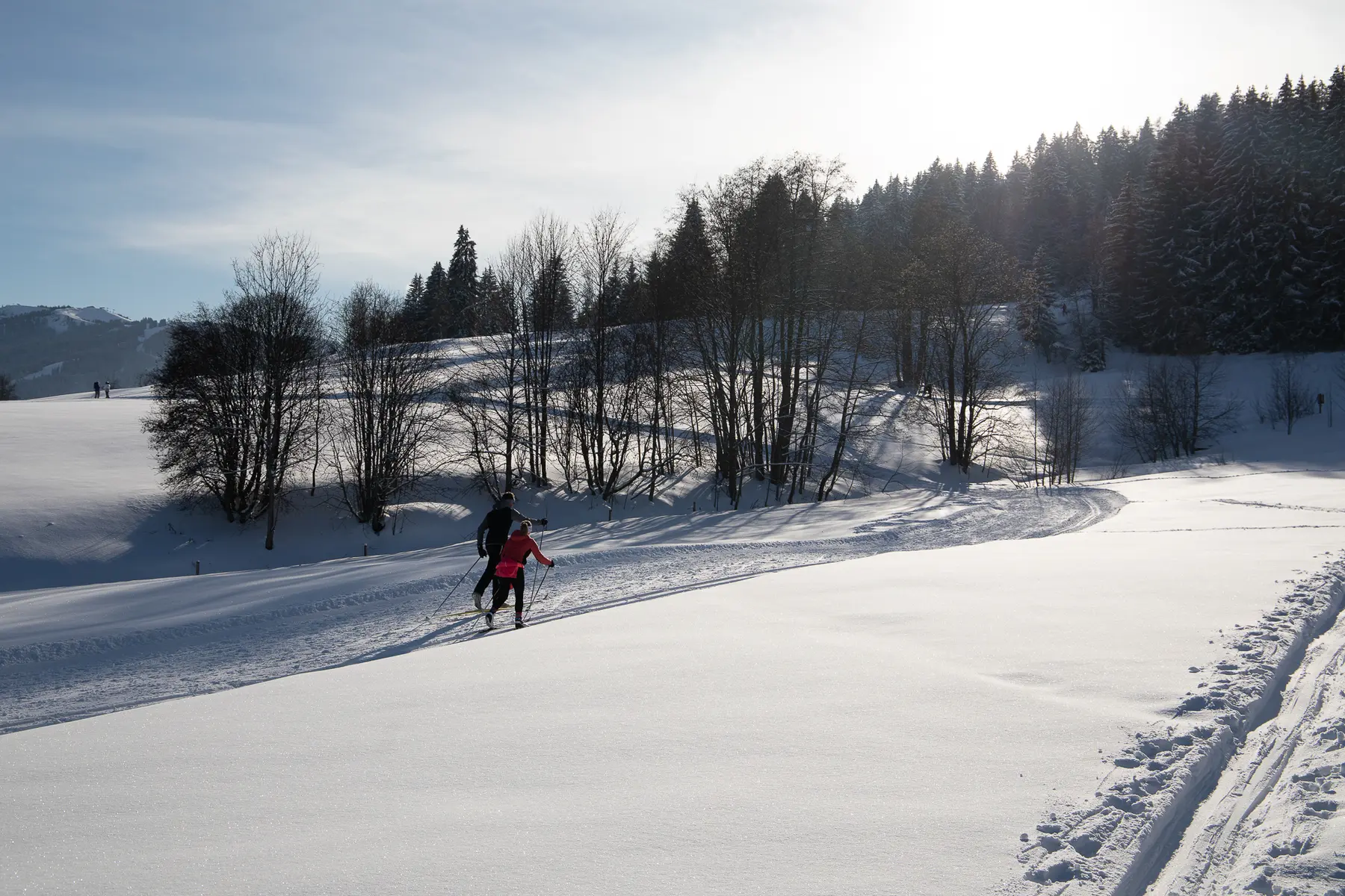 couple ski de fond