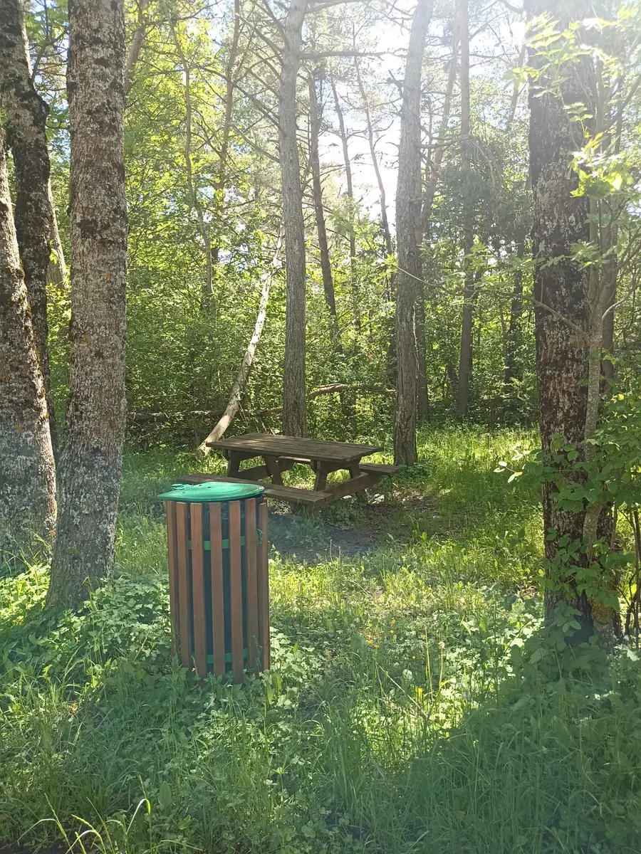 Aire de pique-nique à proximité de Selonnet