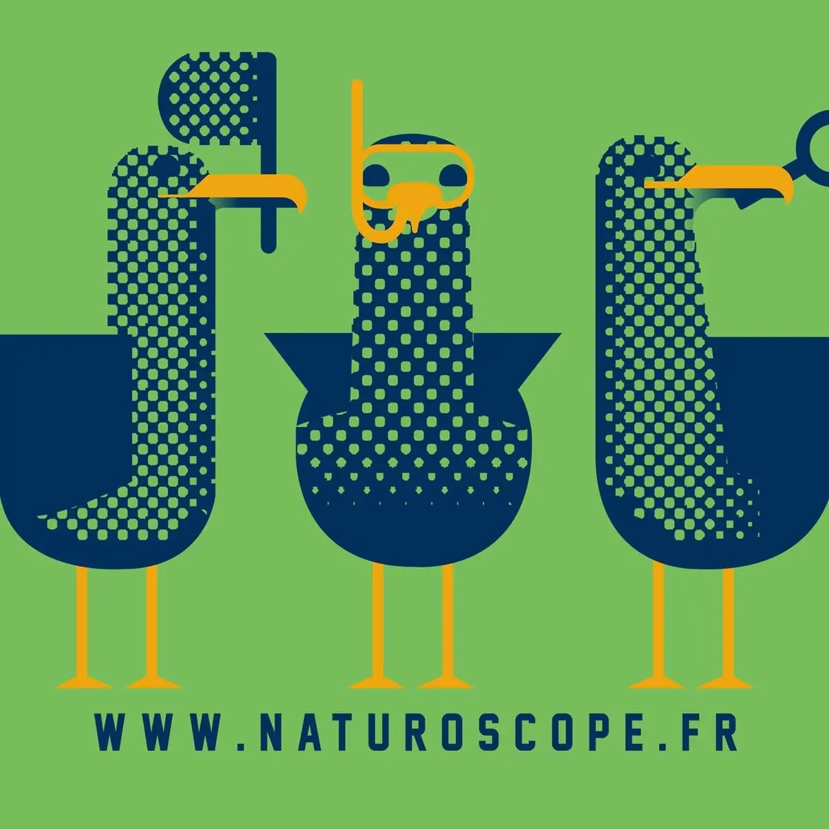 logo du pole mer 3 gabians sur fond vert