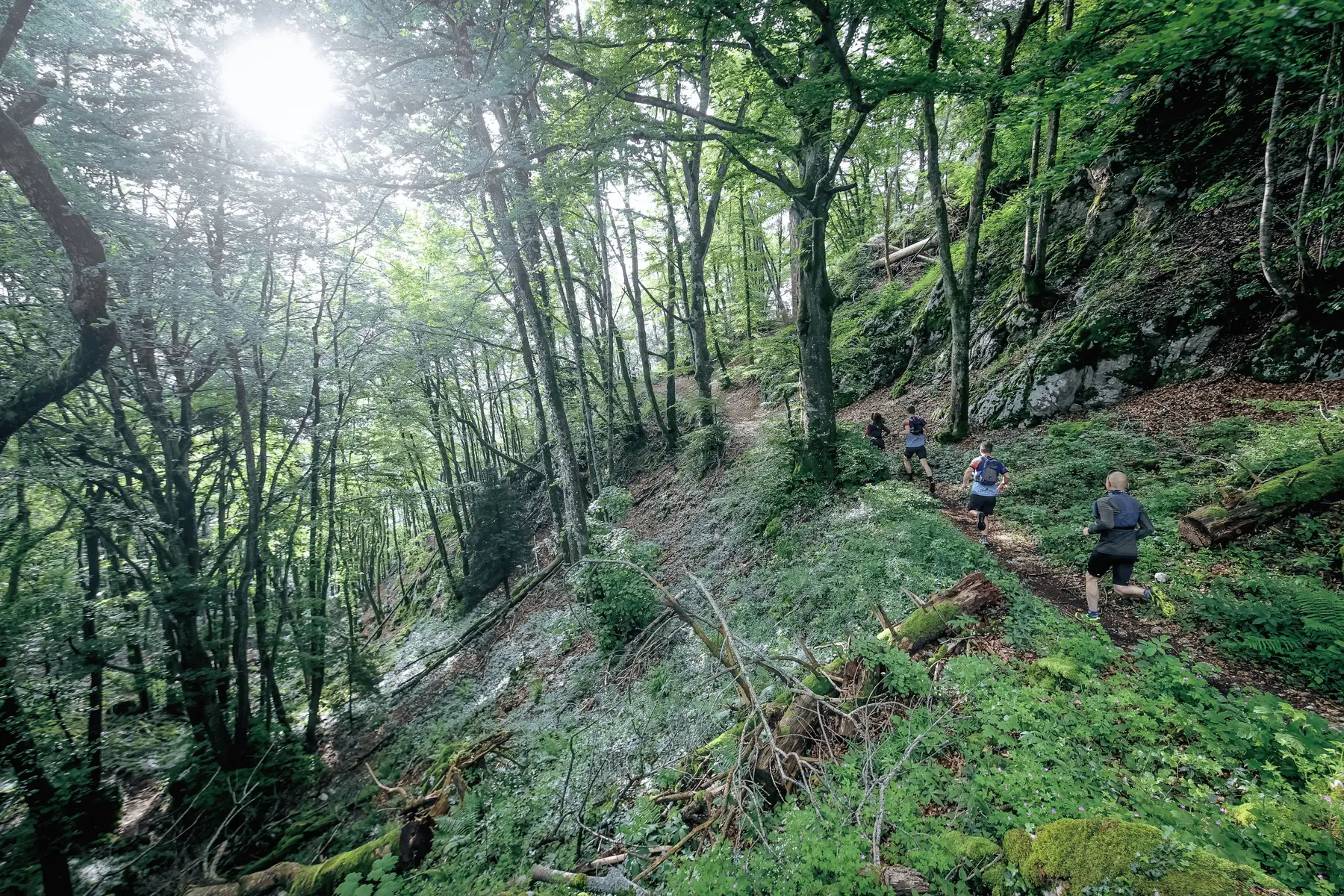 Espace trail Aiguebelette