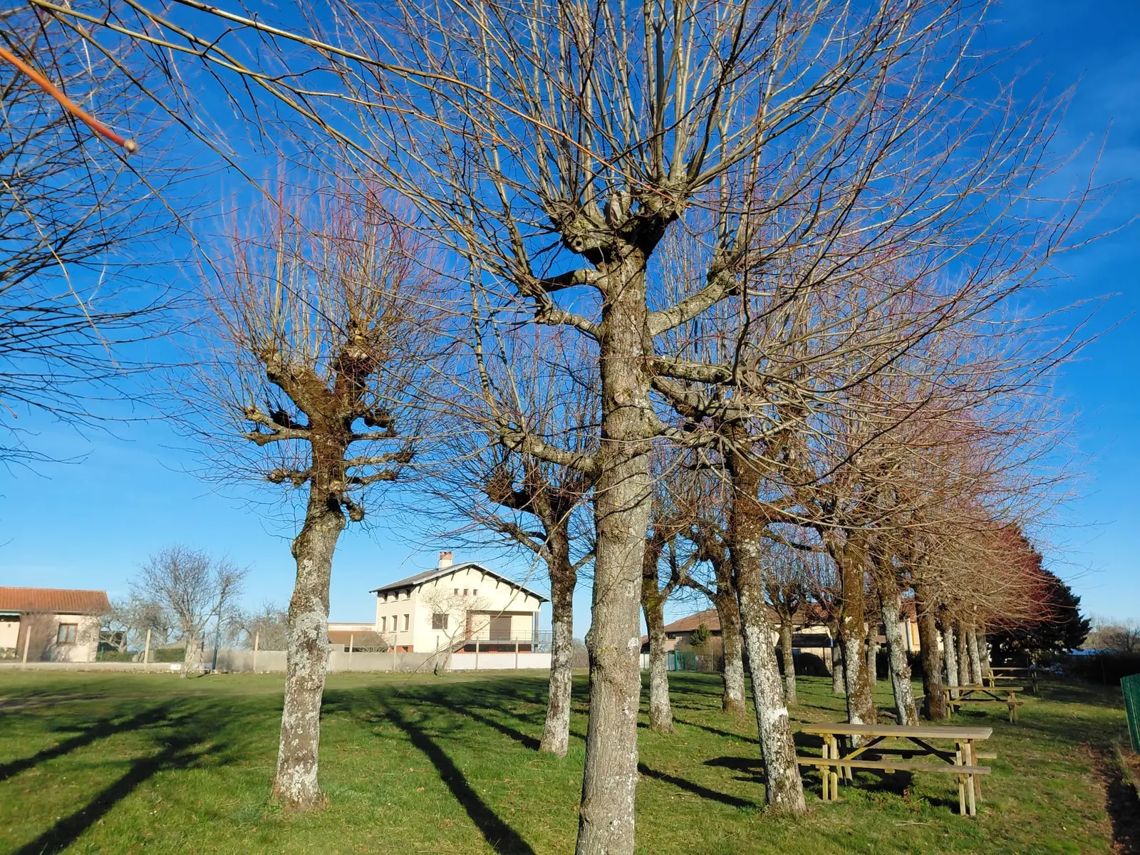Aire de pique-nique Esplanade Abbé Grosbost