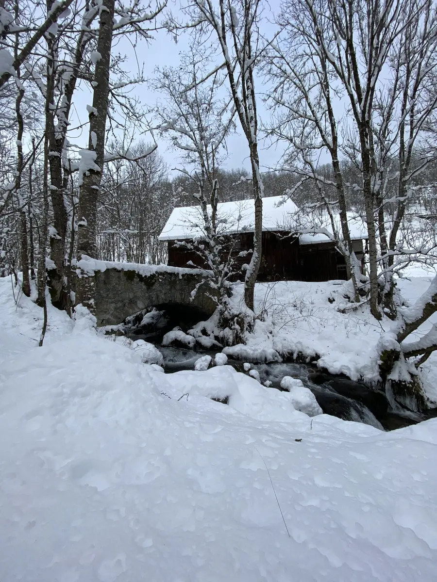 Sentier Raquettes Le Moulin