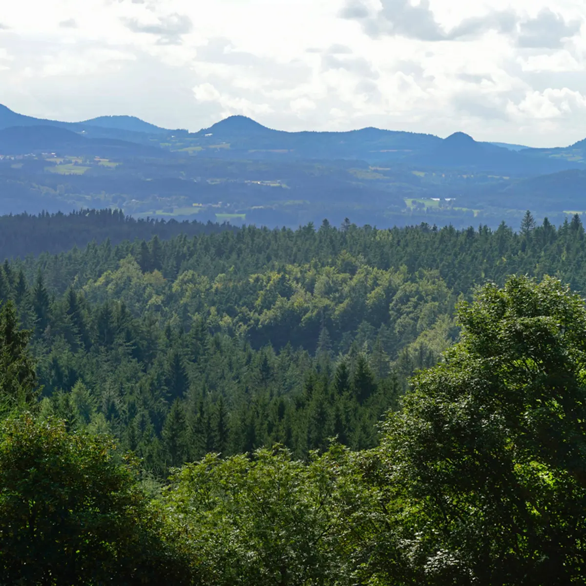 Vue sur les sucs depuis le Mas-de-Tence