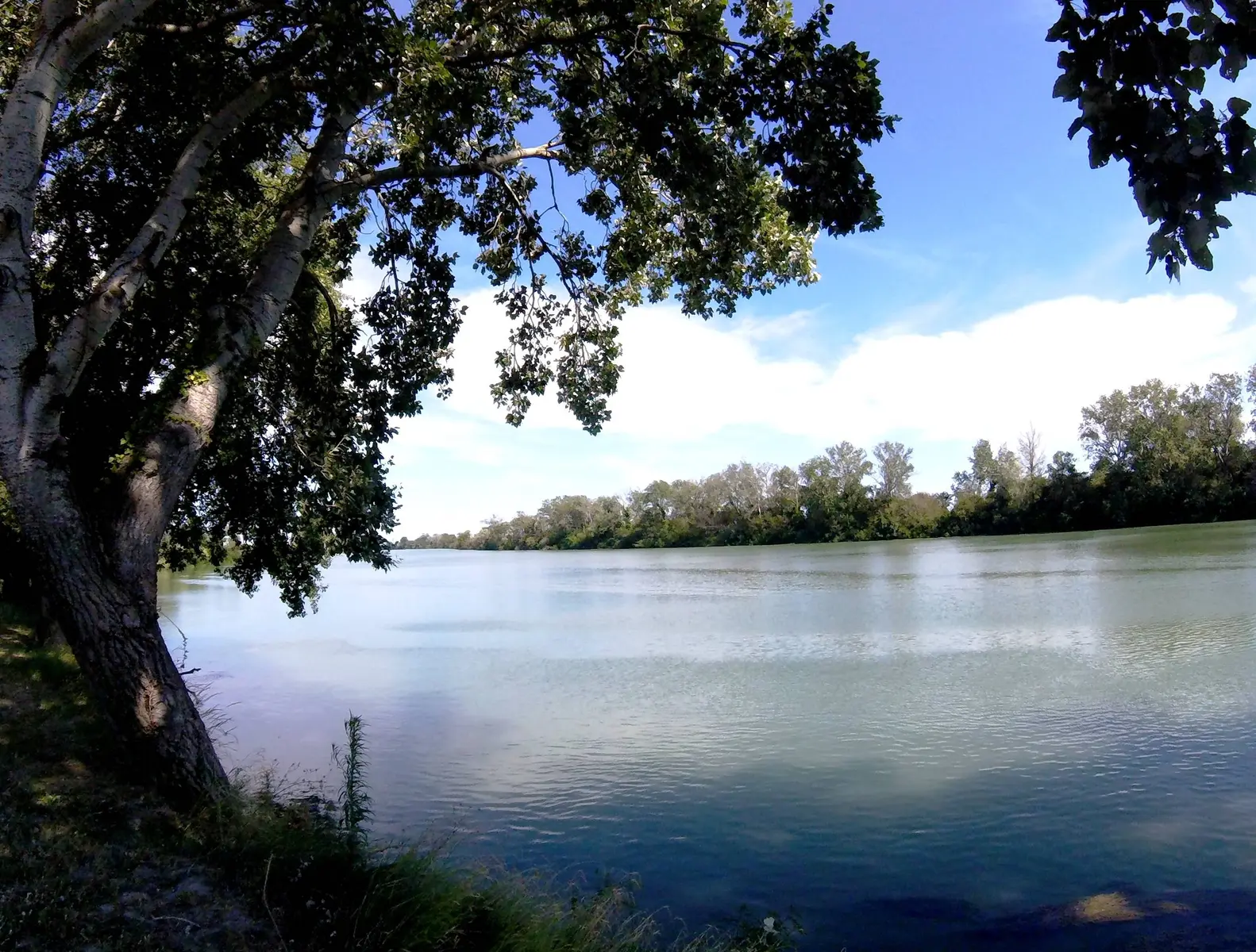 Le Petit-Rhône - Sylvéréal, côté Gard