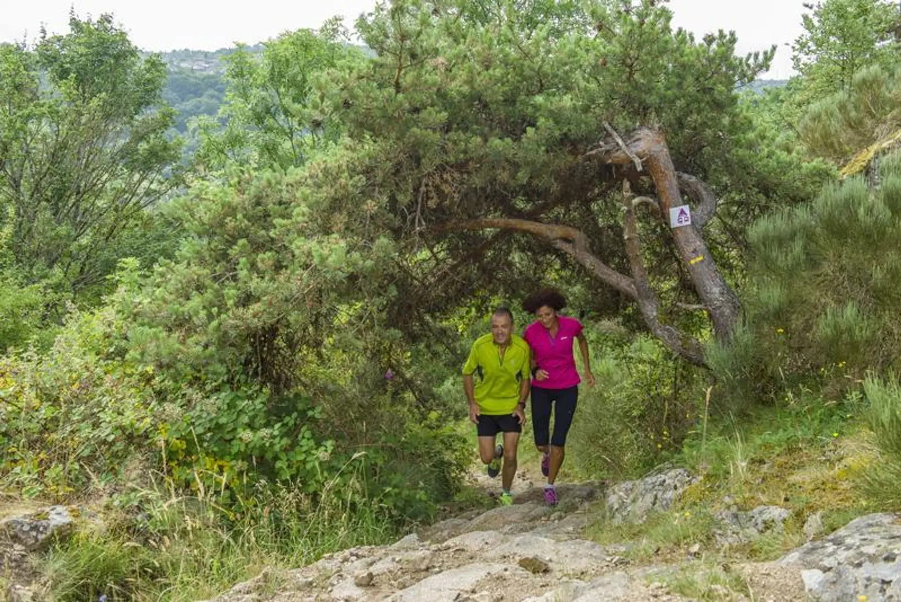 Sur les hauts chemins