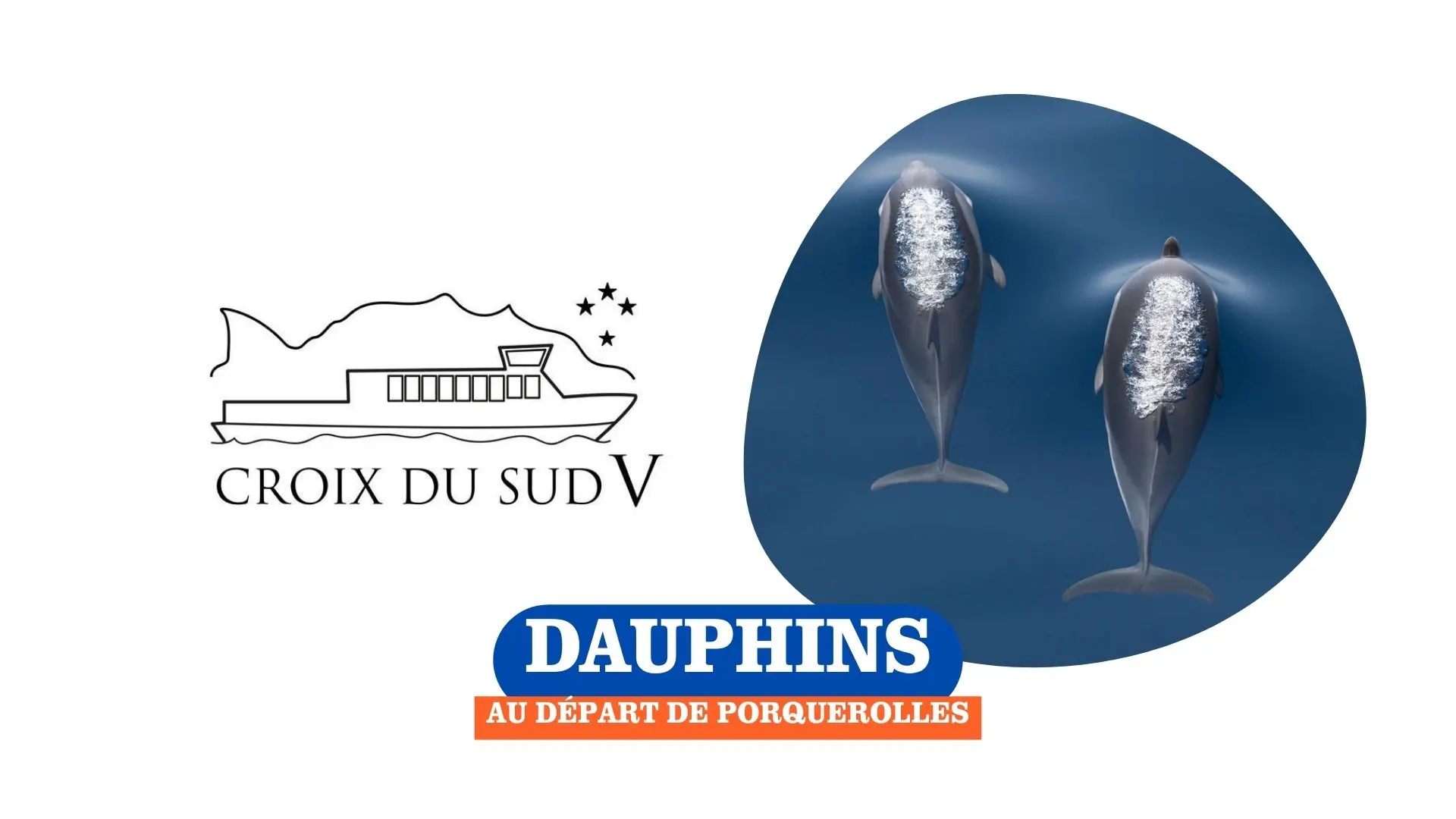 Dauphins au départ de Porquerolles | Croix du Sud V_Sanary-sur-Mer