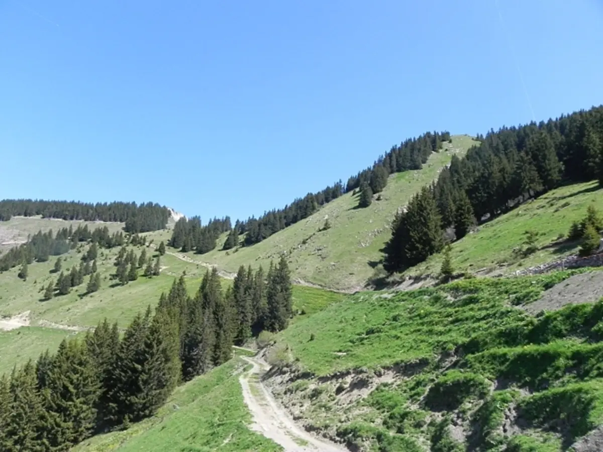La Pointe de Recon