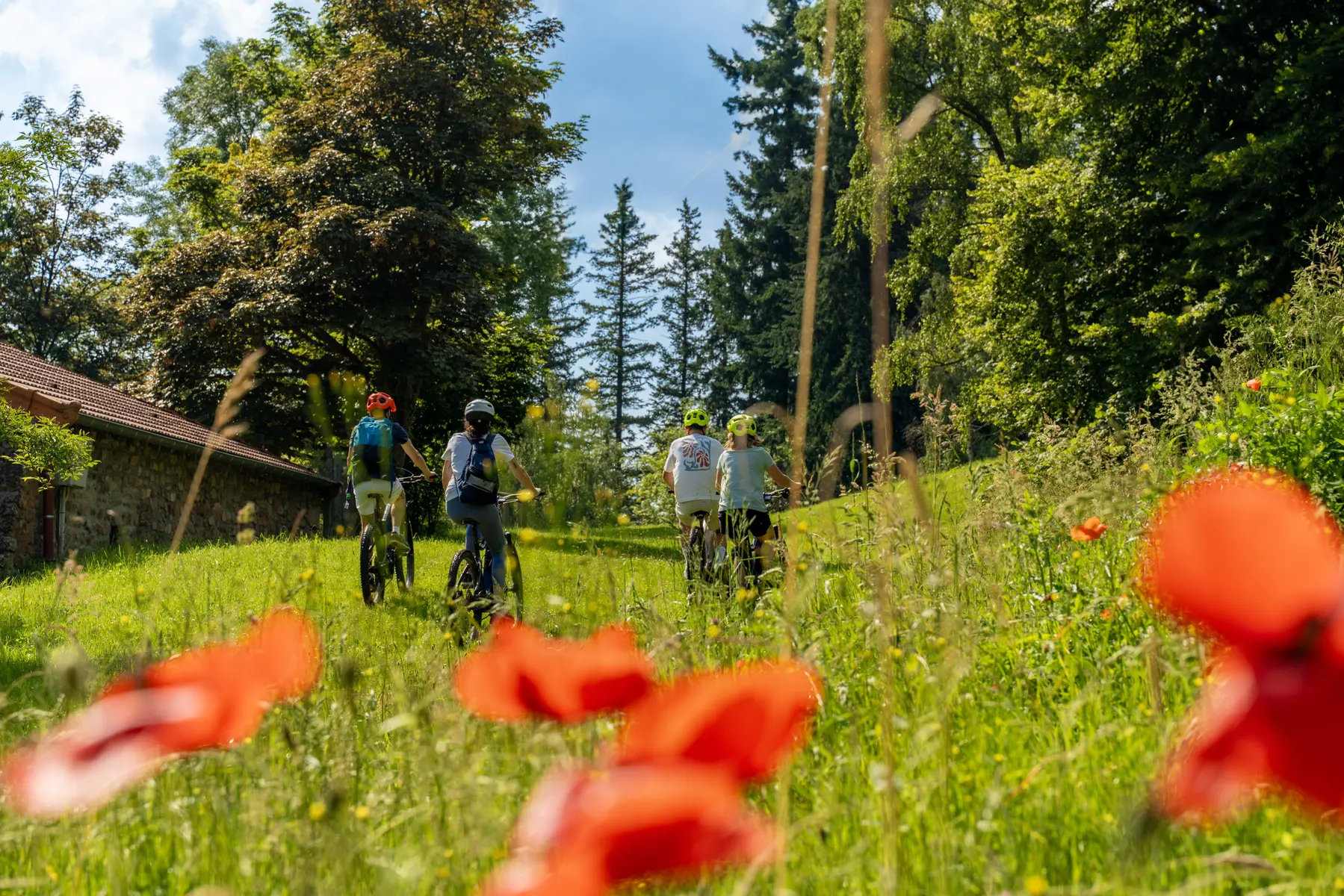 Balade VTT au cœur d'un massif forestier roannais