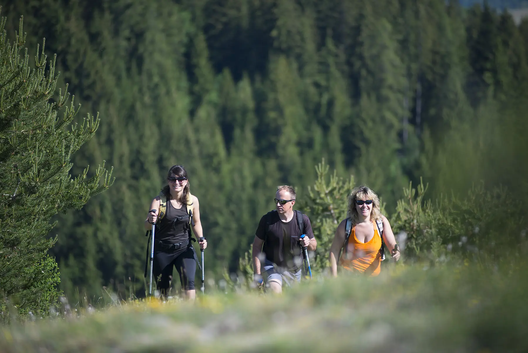 Rando circuit du chateau