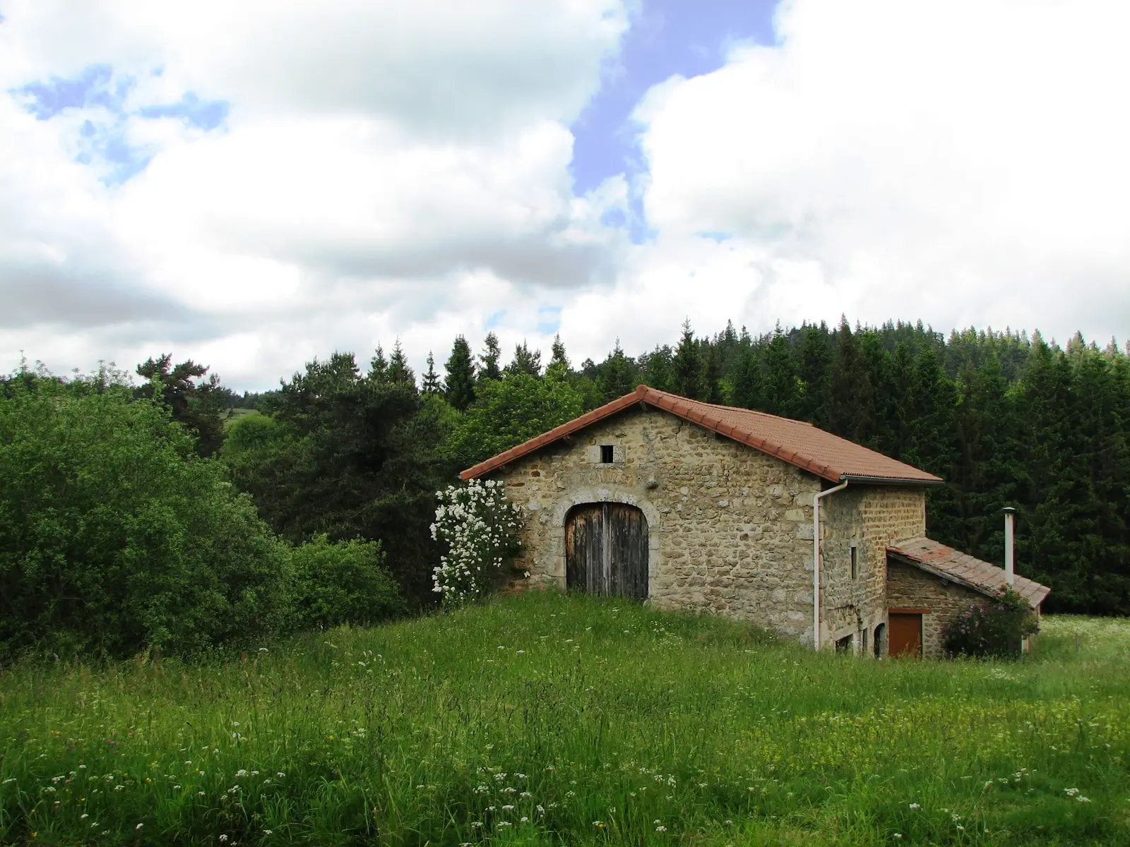 Randonnée à Lérigneux
