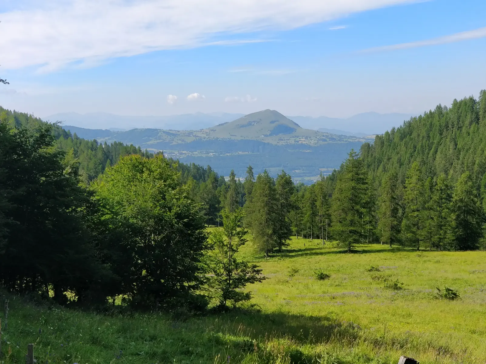 Bois de la Lozière, Chaillol