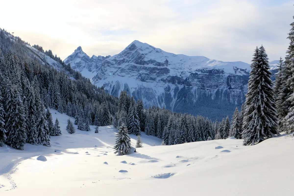 Plaine des Molliets