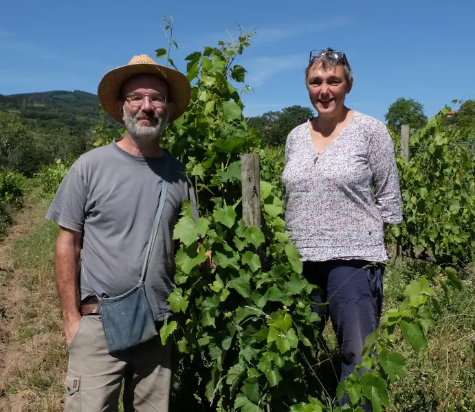 Les vins de Chamaille