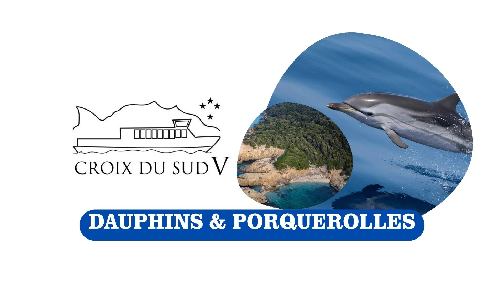 Dauphins et Porquerolles | Croix du Sud V_Sanary-sur-Mer