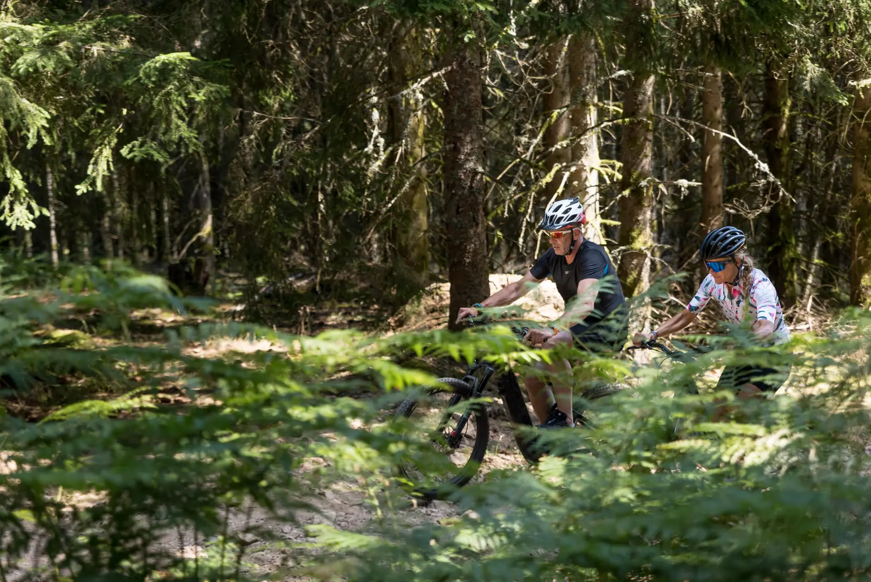 VTT en forêt dans le département de la Loire