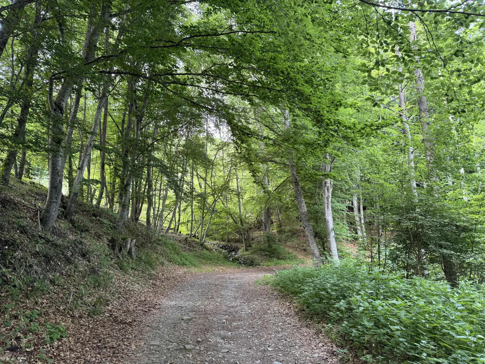 Canal de Gap, Chabottes