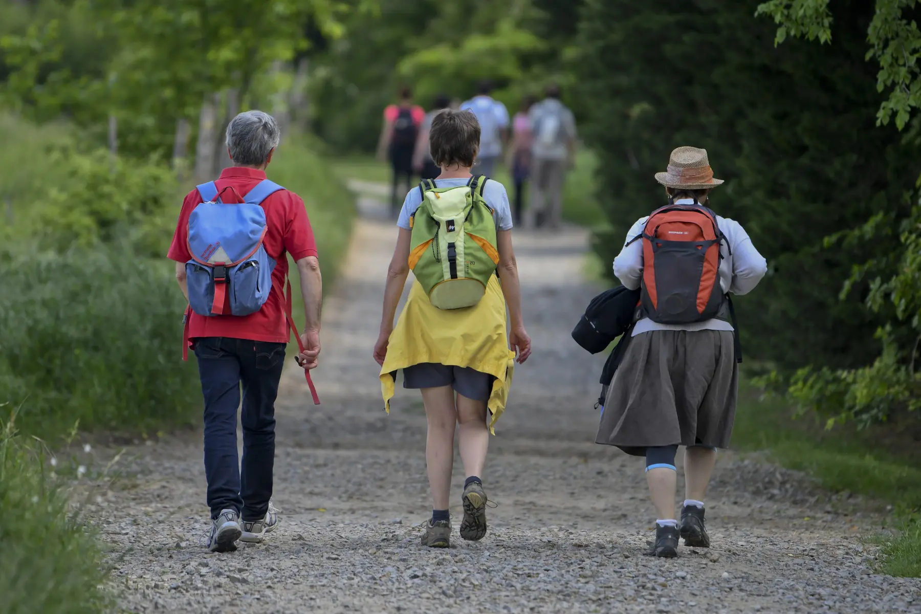 Tour des plateaux - Lens Lestang