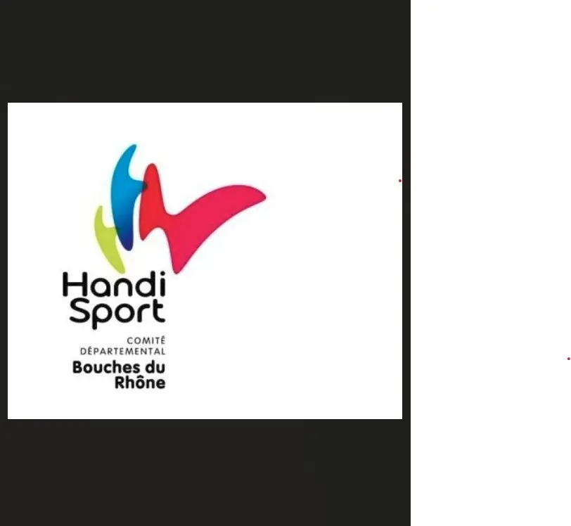 Comité Départemental Handisport